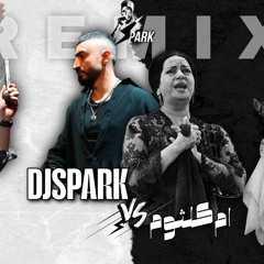 DJ SPARK Remix     ياحبيبي - ام كلثوم