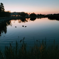 Lago Grande Portonovo