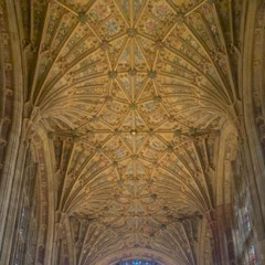 Welcome to the Dream World - C.T.U 2025