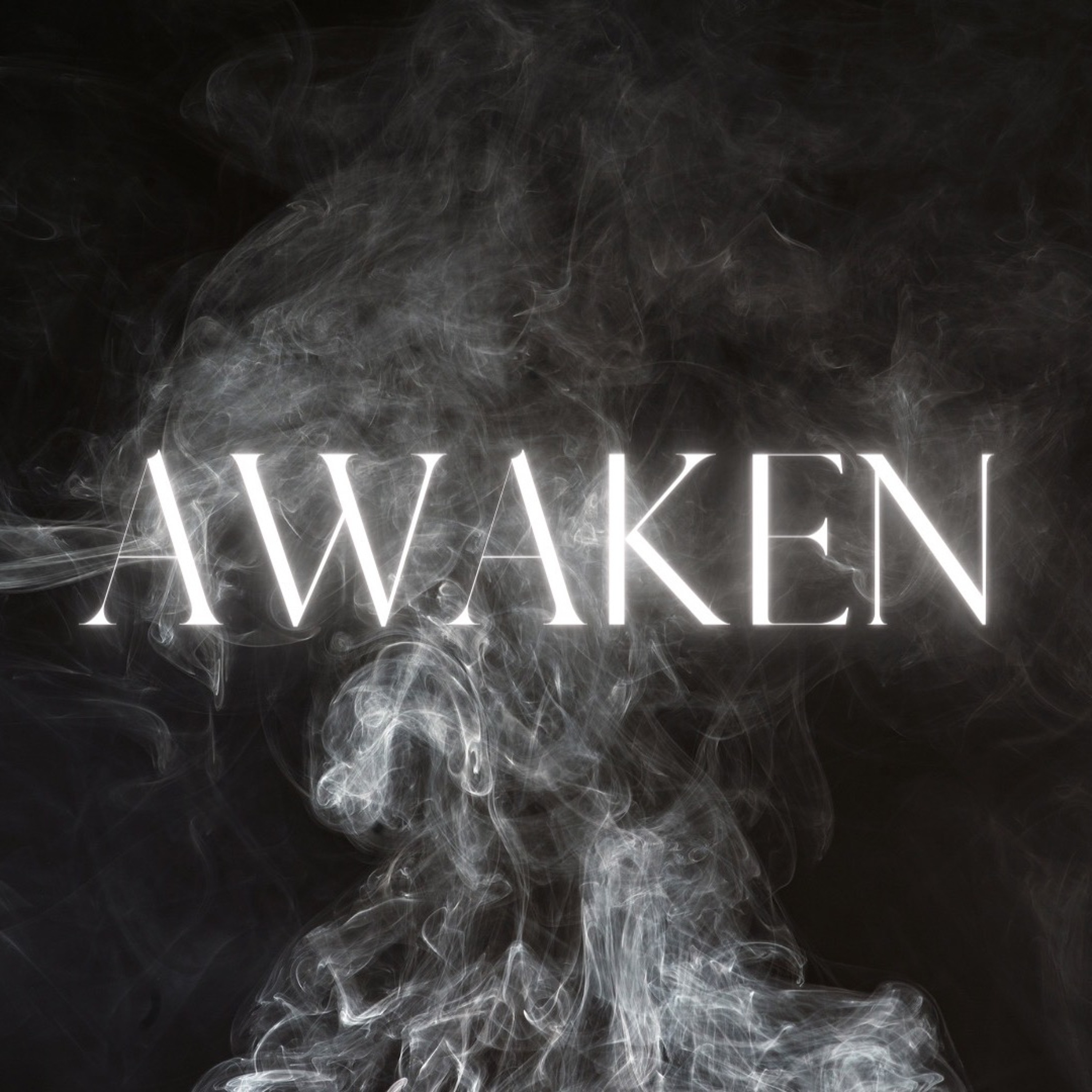 Awaken - What Do You Want? | Derek Quinby