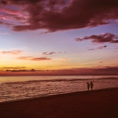 Daydream