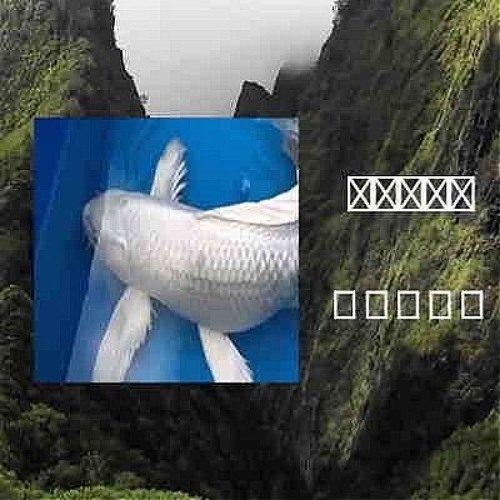 lost in the sound, the fog of impossible noises surrounds me