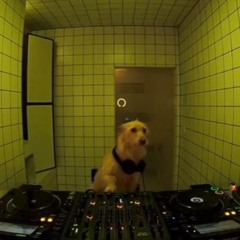 Esse aí é o dj