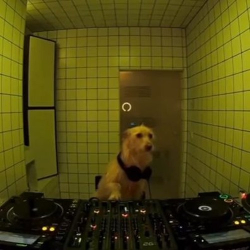 Esse aí é o dj