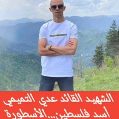 اغنية الشهيد عدي التميمي