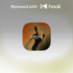 Zerb - 24h In A Disco (@will Hook Remix)