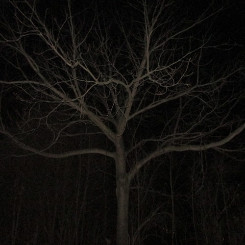LET YOU DOWN (Sped Up version)