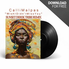 Calli Malpas - Wish I Didn't Miss You _Sunset Derek Tribe Remix_Free DNL