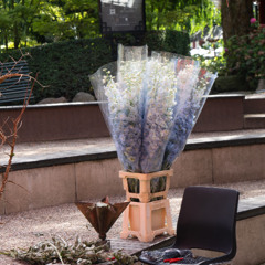 Behind the scenes at the Tivoli Flower Festival, by Noah Haynes