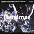 Raindrops (FerryK Remix)