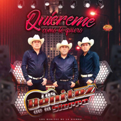 LOS BENITEZ DE LA SIERRA MIX DJARMANDO EL DE QUERETARO