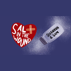 Salt In The Wound - boygenius cover