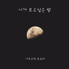 니가 보고싶은 밤 (Acoustic Cover)