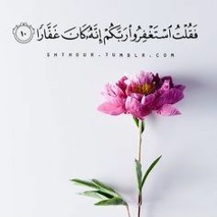 استغفر الله الذي لا اله الا هو الحي القيوم واتوب إليه مكررة 100 مرة