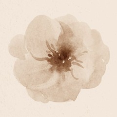 Мія Рамарі - Нема любові (я не розумію твоєї мови) speed up