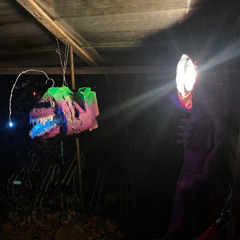 Crooked lights opening with Flo Rice b2b Manusch