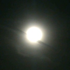 ICE BLONDE (prod. curly!)