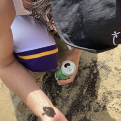 smoke my cigarettes so fast (prod. shinju)