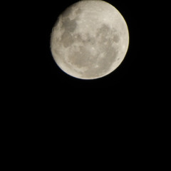 bla bla bla - Jotak x BautiPalave