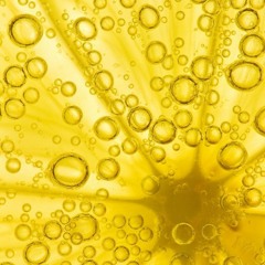 Breakfast In An English Garden