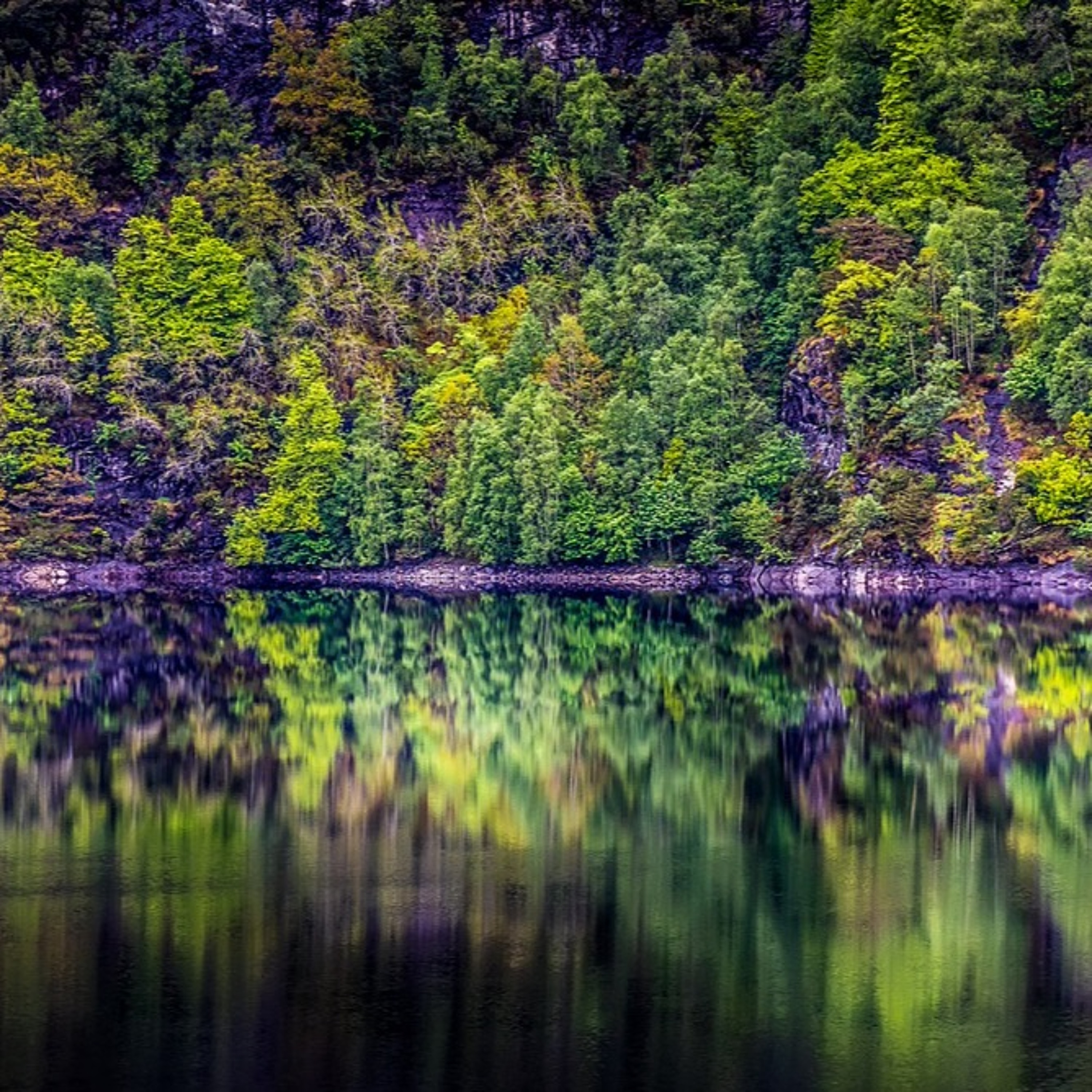 Grønnhetstyranniet