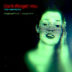 Can't Forget You (Cover)