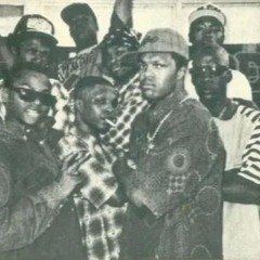 SVNMO - PAULWITDA45