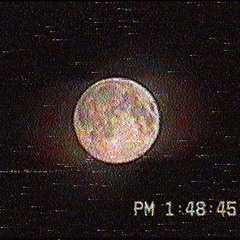 Two Birds // Regina Spektor // slowed + reverb