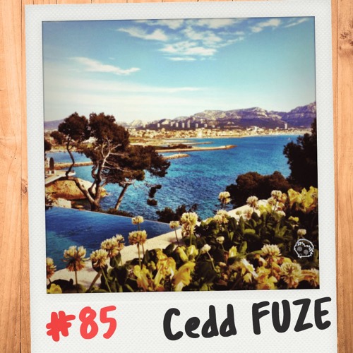 #85 ☆ Igelkarussell ☆ Cedd FUZE 🎇