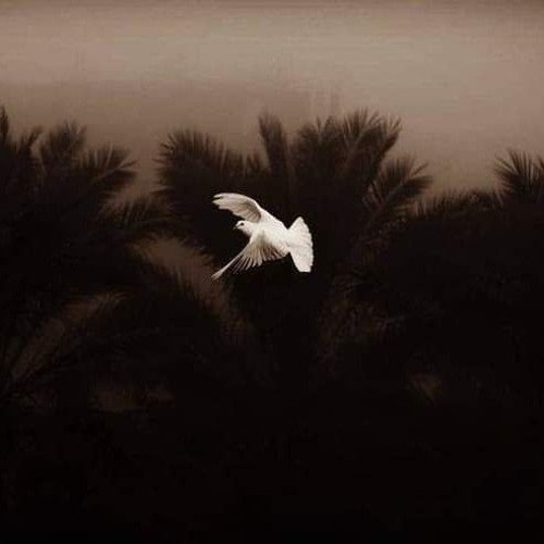 "ربنا ولا تُحَمِّلنا ما لا طاقةَ لنا به"