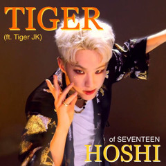호시(HOSHI of SEVENTEEN) - 호랑이 (Feat. Tiger JK)