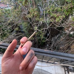 nolmuş sana (prod. akaege)