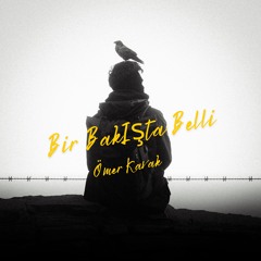 Bir Bakışta Belli