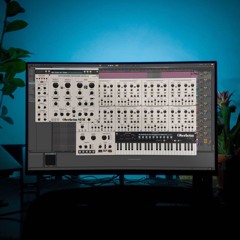 Oberheim OB-E - Eighties Echoes