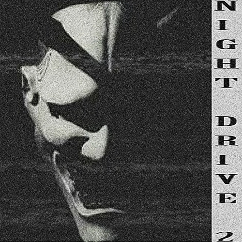 Night Drive 2