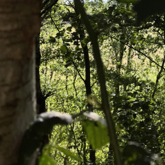 YEAT AND CARTI - GETTING MONEY