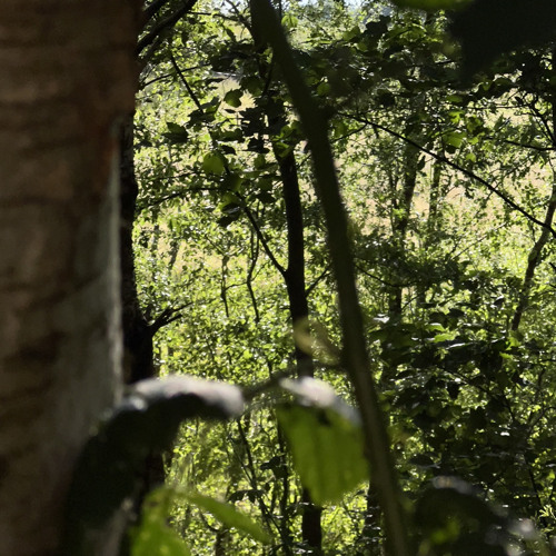 YEAT AND CARTI - GETTING MONEY