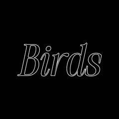 Central Cee - Birds (Produced by Art School Dropout)