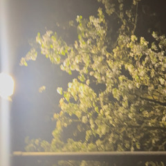 StreetLight (Prod. abysshund)