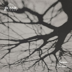 Zeleon - Shadows (Extended Version) [Out 28th Feb 2025]