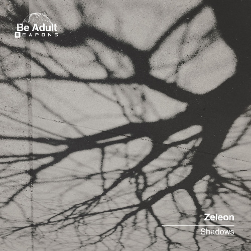 Zeleon - Shadows (Extended Version) [Out 28th Feb 2025]