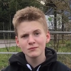 Schniedel.mp3 by Marvin x Nico