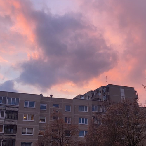 Портреты