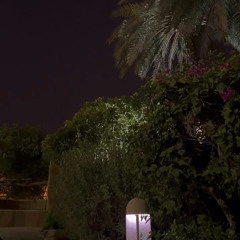 ‎⁨يوم شفتك طرت أعلن مولدي .⁩