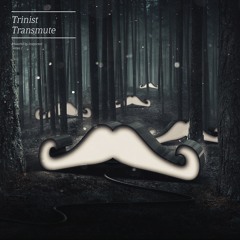 TRINIST - Transmute