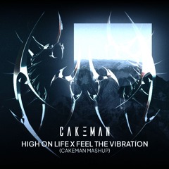 High On Life x Feel The Vibration (CakeMan Mashup)