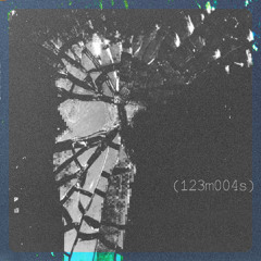123m004s