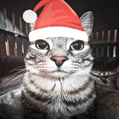 Last christmas funk!