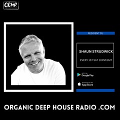 Shaun Strudwick  Festive mix ODH-Radio 24-12-2023