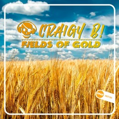 Craigy B! - Fields Of Gold